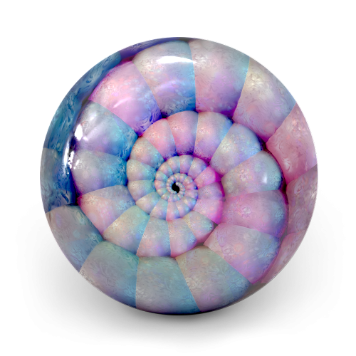 Nautilus Pearl